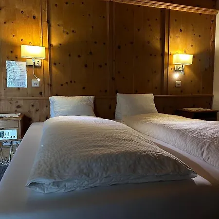 Acla Filli Hotel Zernez