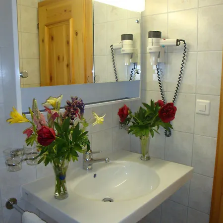 Acla Filli Hotel Zernez