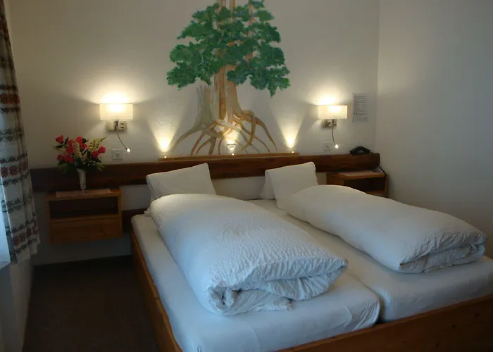 Acla Filli Hotel Zernez