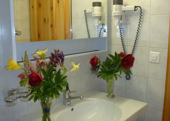 Acla Filli Hotel Zernez