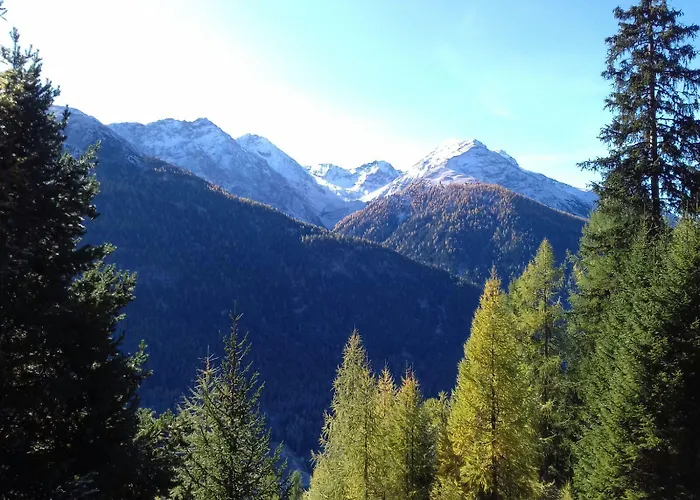 Acla Filli Hotel Zernez