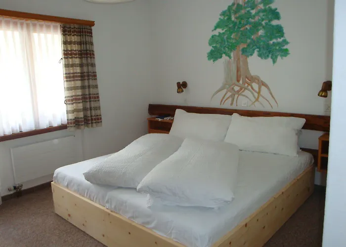 Acla Filli زيرنيز